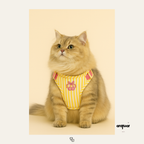 Yellow Striped Matching Set