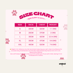 Dachshund Print Matching Set