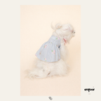 Embroidered Dress Matching Set