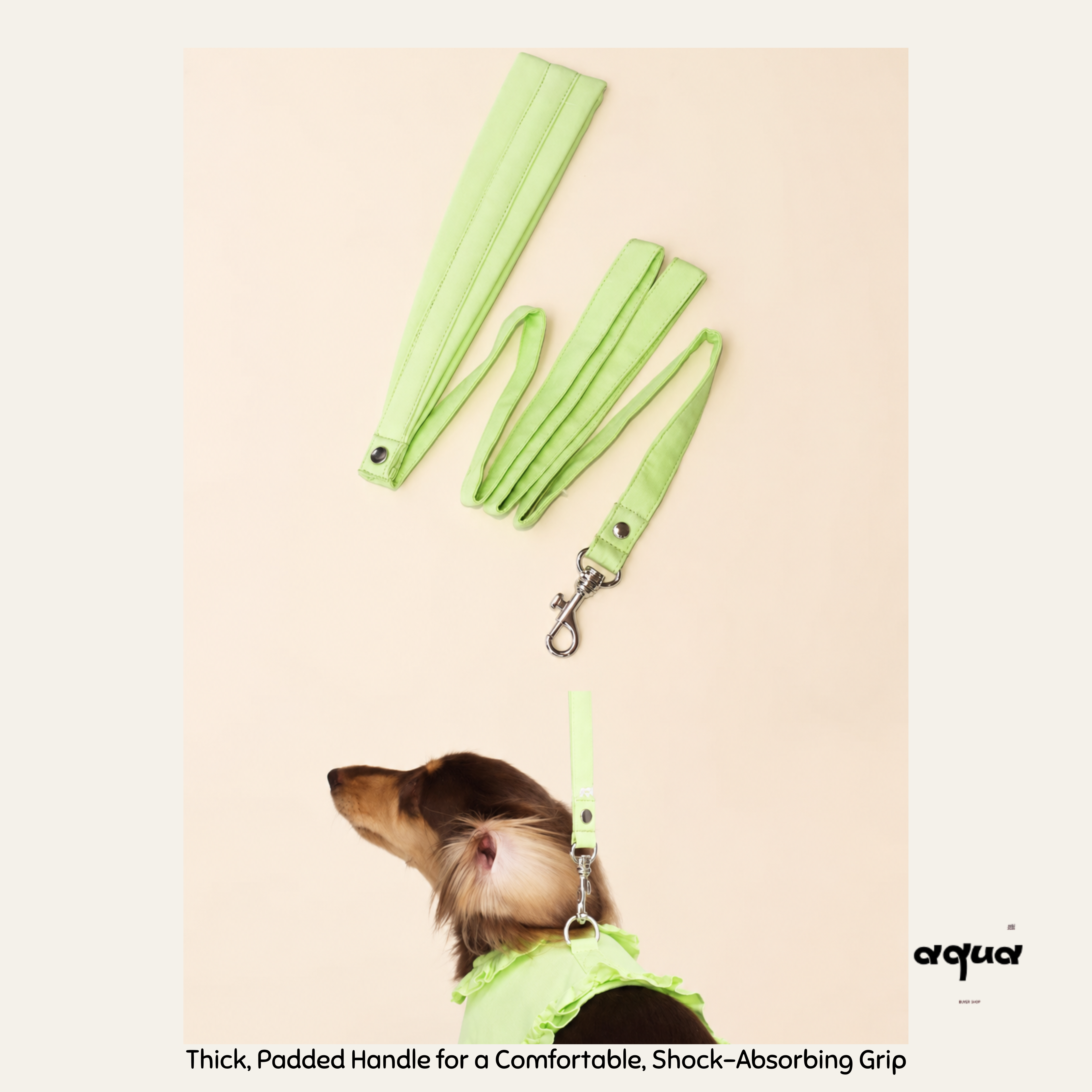 Lace Trim Pet Vest & Leash Set