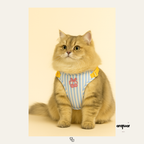 Yellow Striped Matching Set
