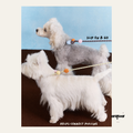 Candy Color Anti-Pull Dog Leash