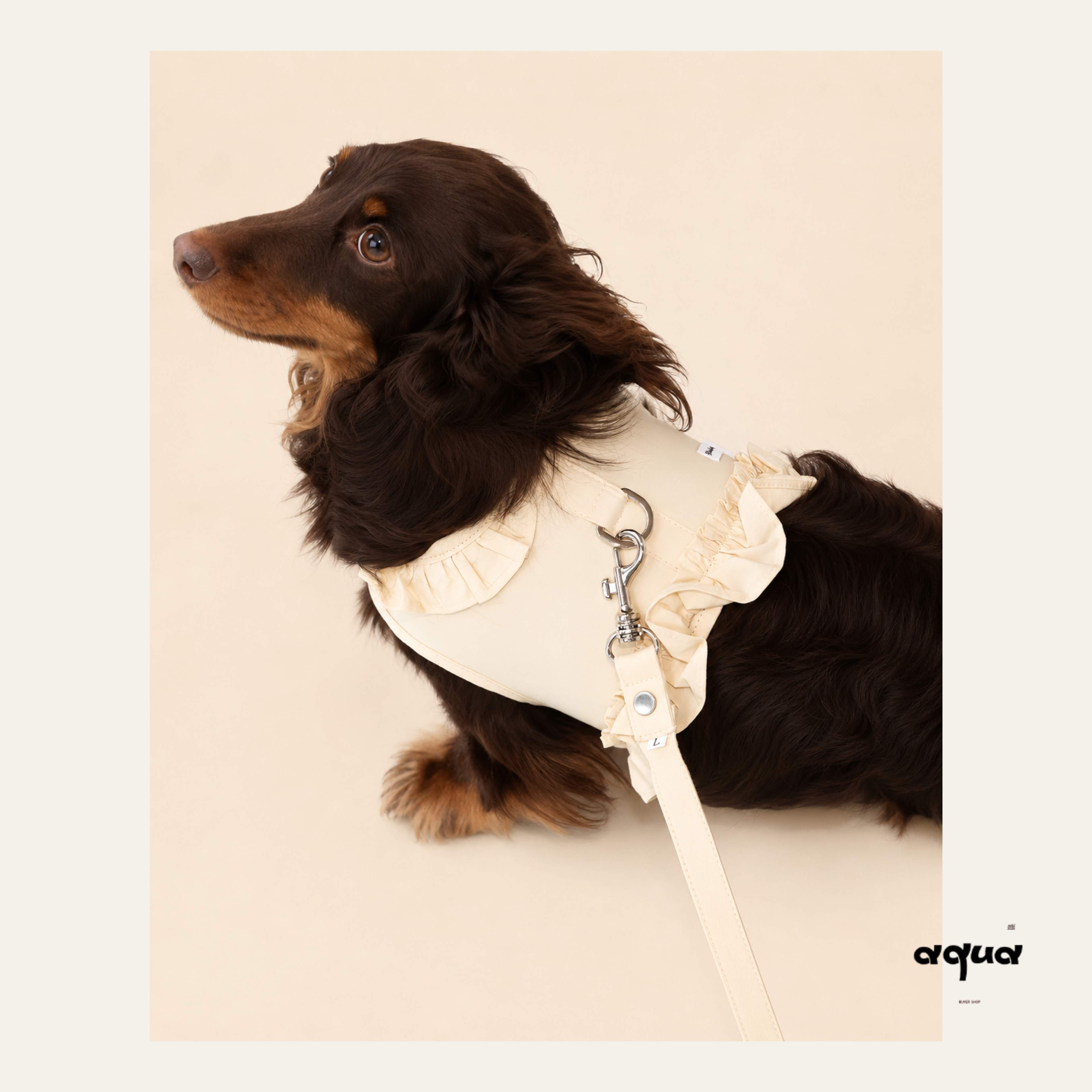 Lace Trim Pet Vest & Leash Set