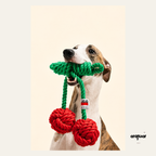 Cherry Shaped Toy