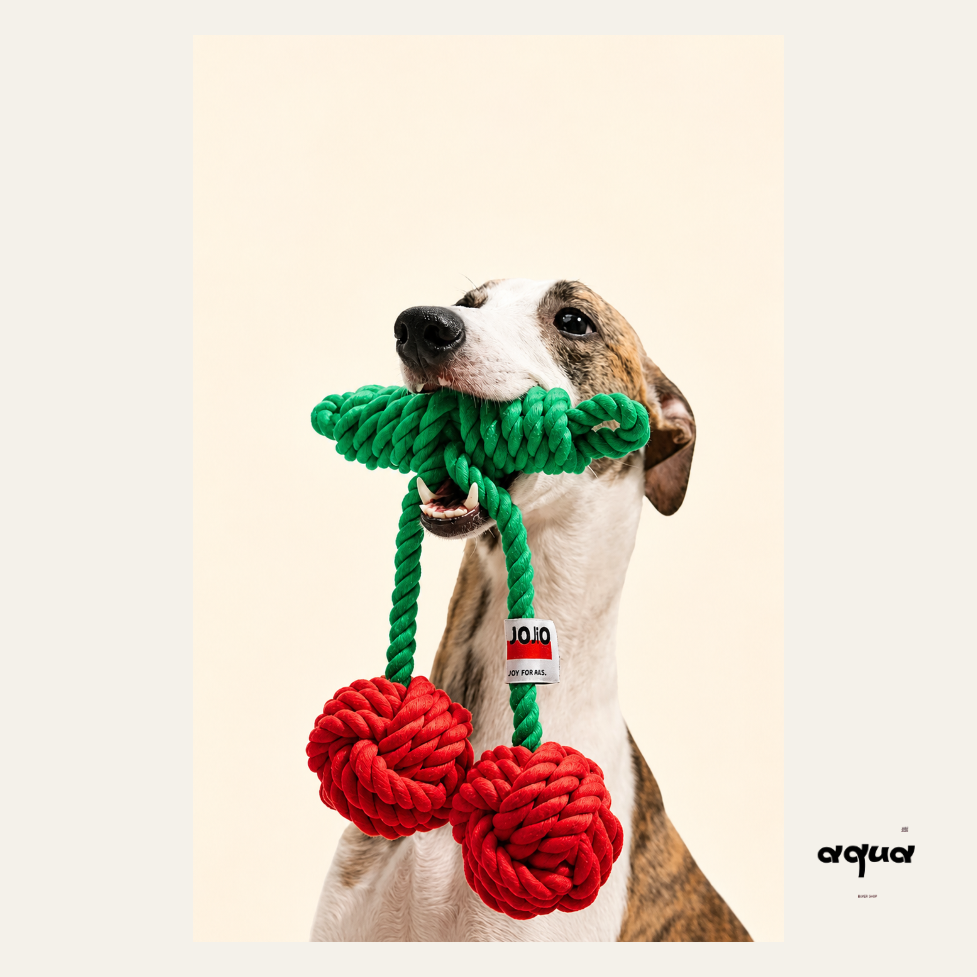 Cherry Shaped Toy
