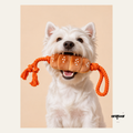 Squeaky Sausage Roll