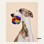 Cross-Woven Dog Chew Ball