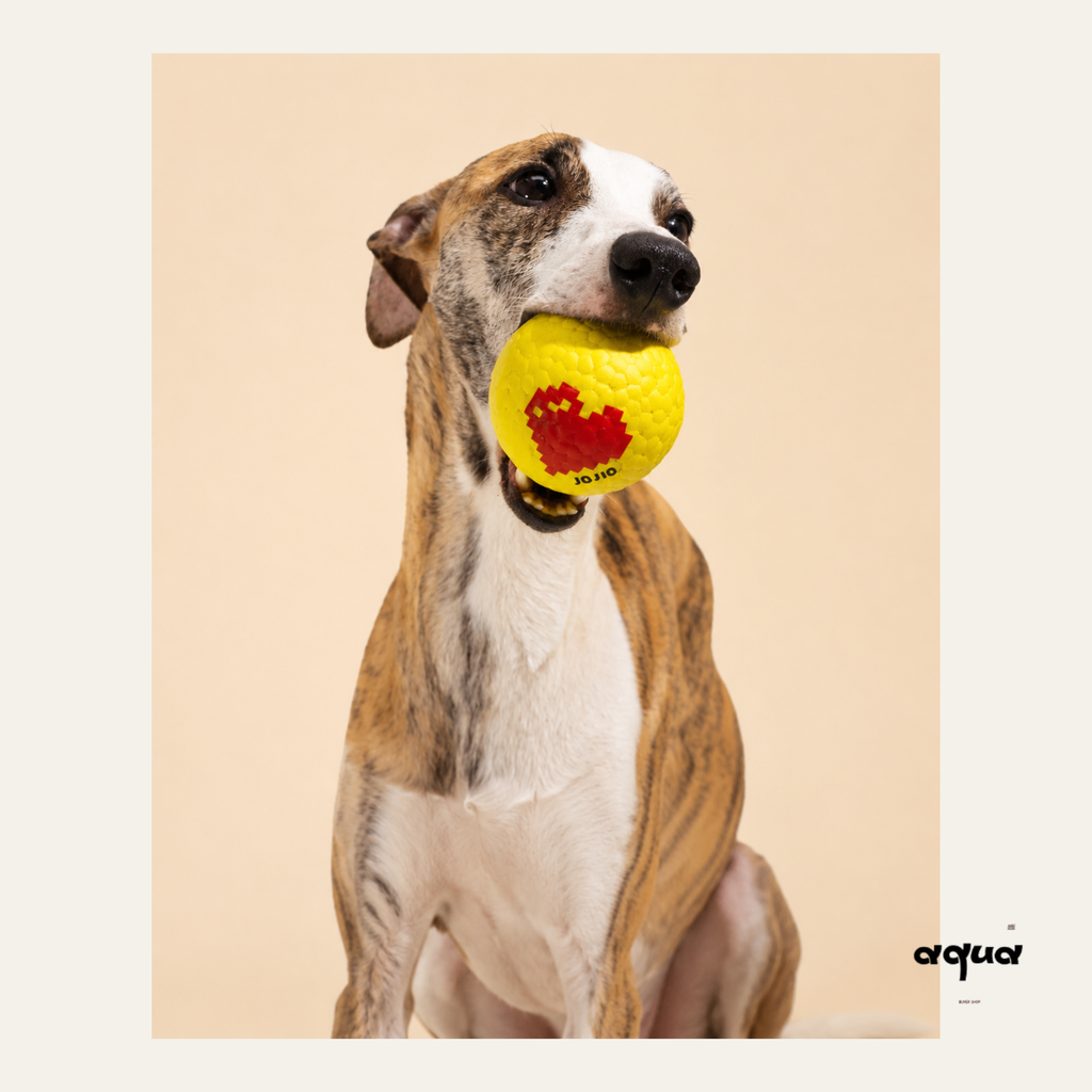 Pixel Love Floating Dog Ball
