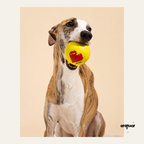 Pixel Love Floating Dog Ball