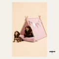Pet Tent Bed