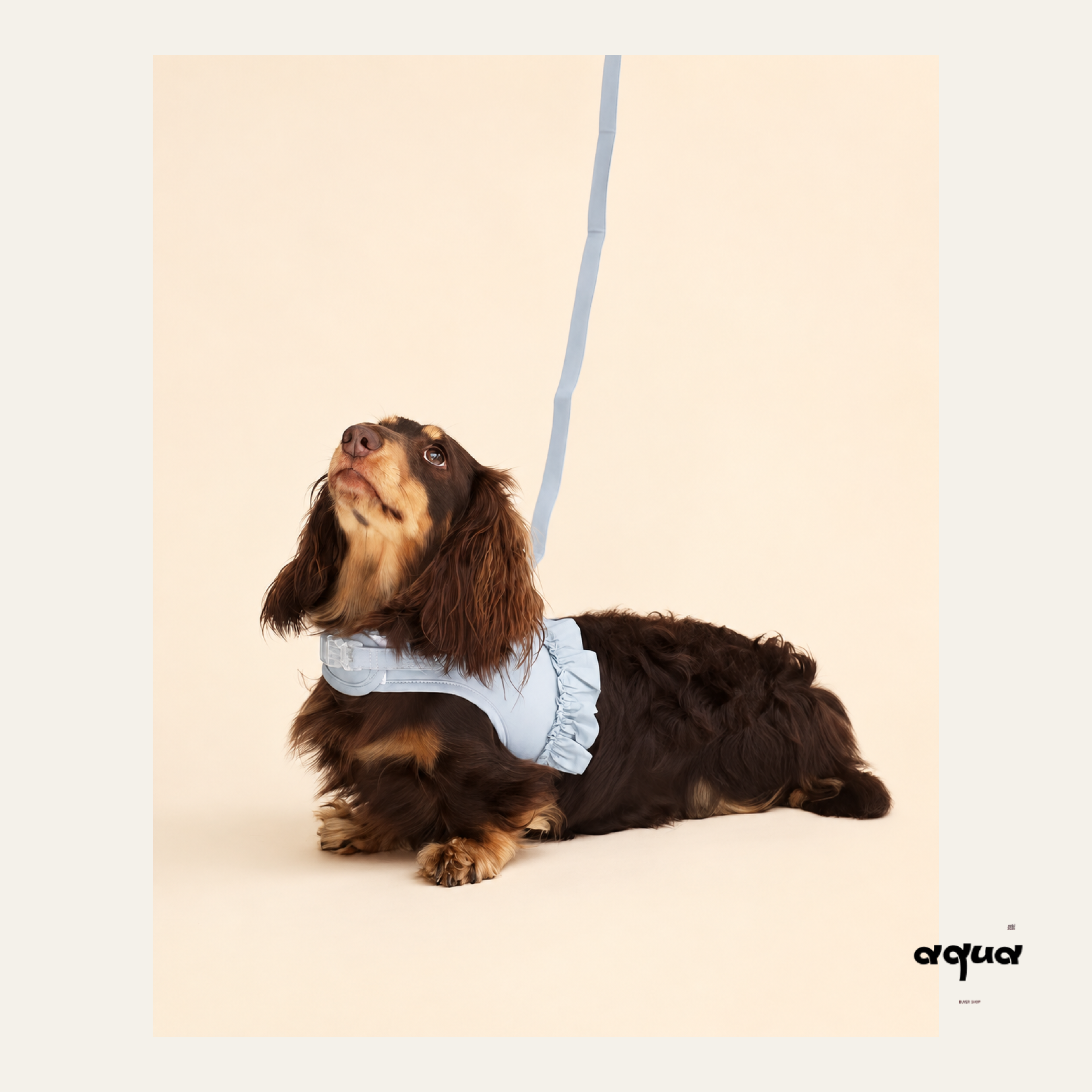 Lace Trim Pet Vest & Leash Set
