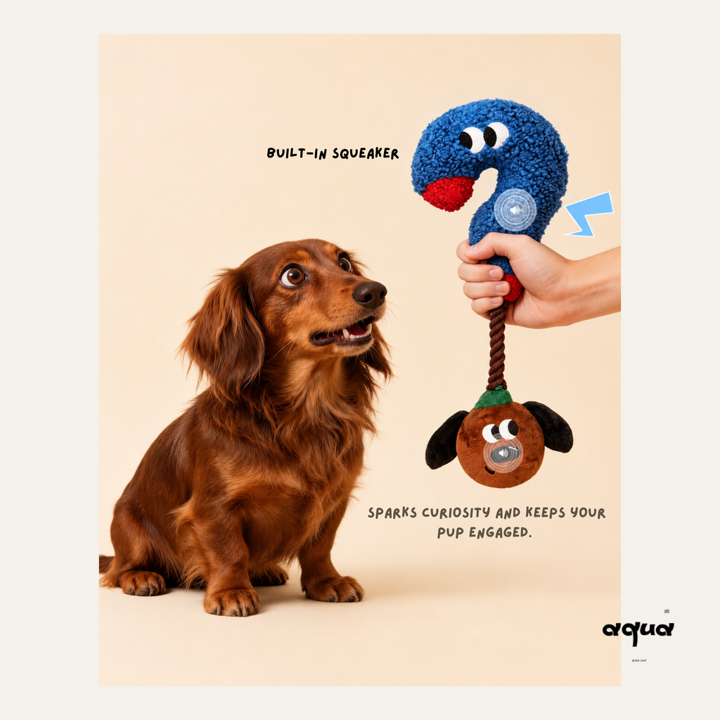 Question Mark Tug Toy
