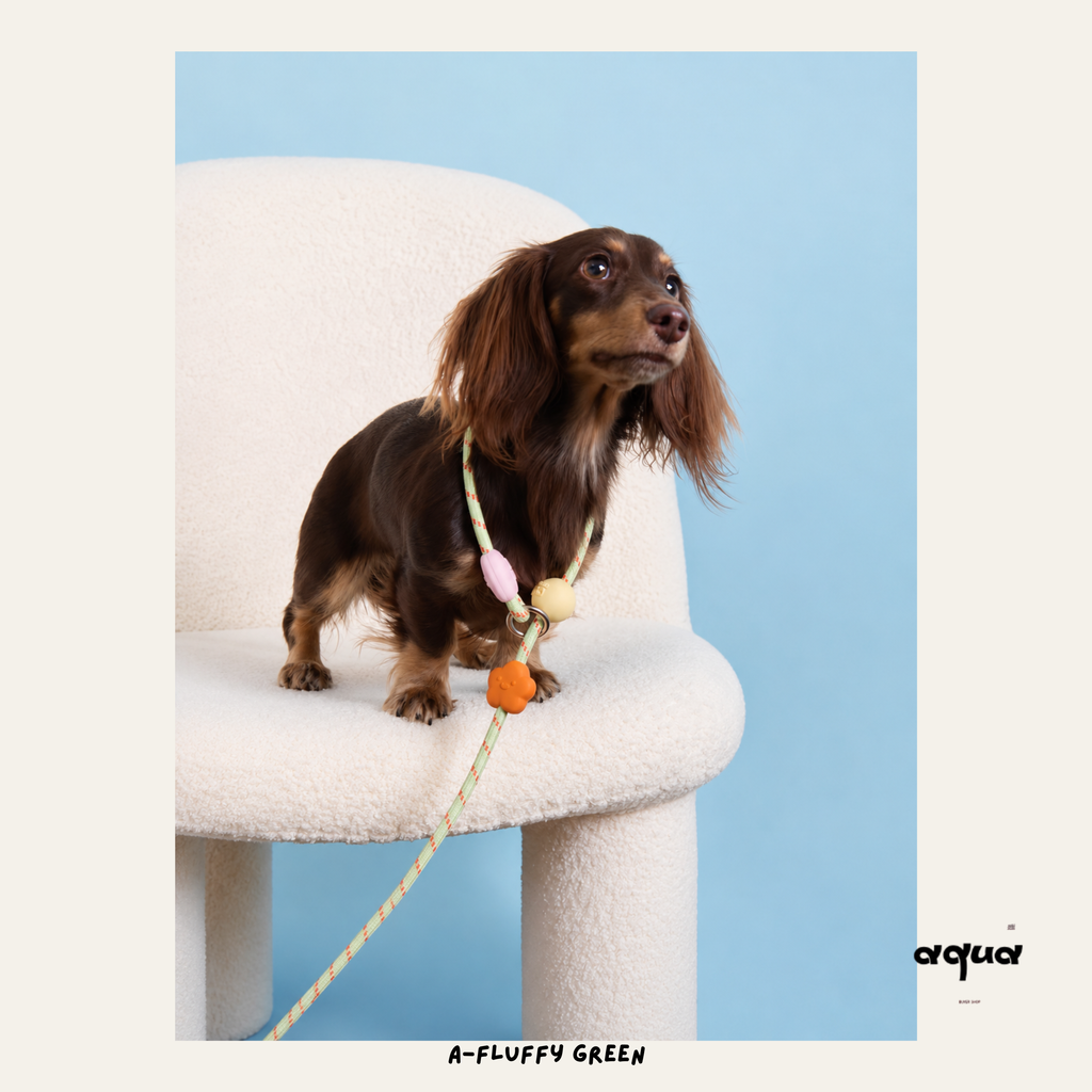 Candy Color Anti-Pull Dog Leash