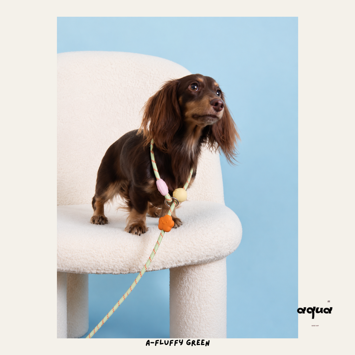 Candy Color Anti-Pull Dog Leash