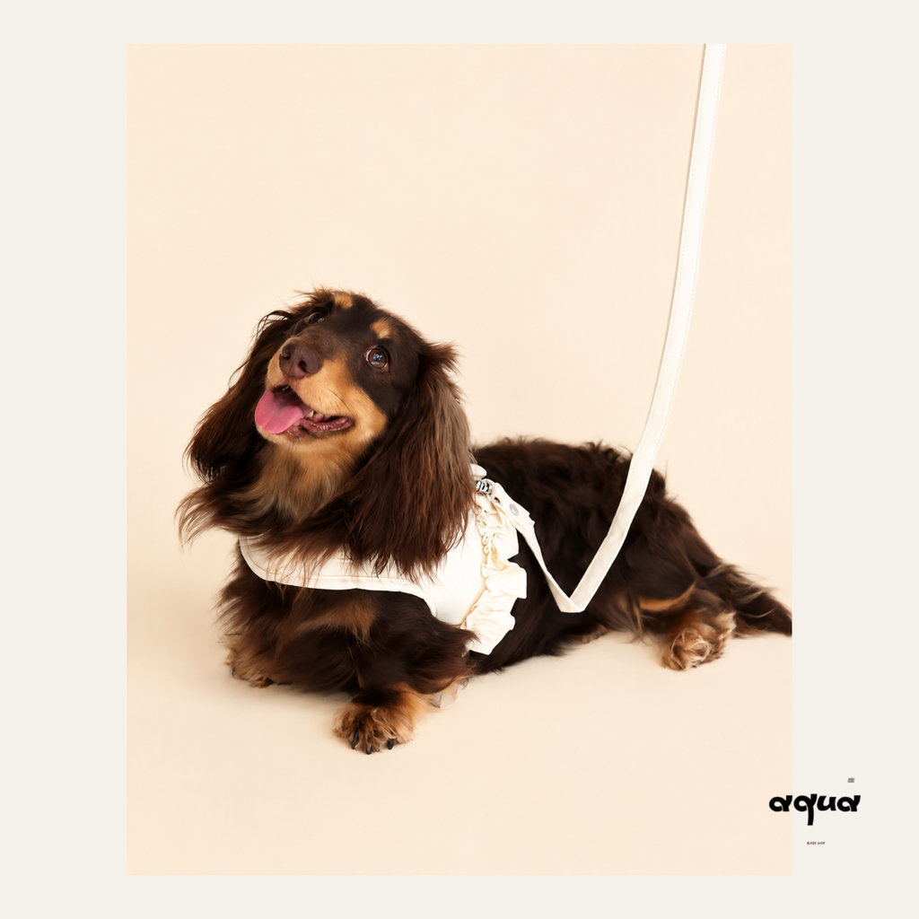 Lace Trim Pet Vest & Leash Set