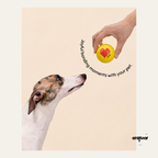 Pixel Love Floating Dog Ball