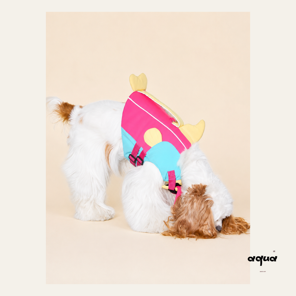 Dog Swimsuit with Chin Float Guard
