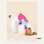 Dog Swimsuit with Chin Float Guard