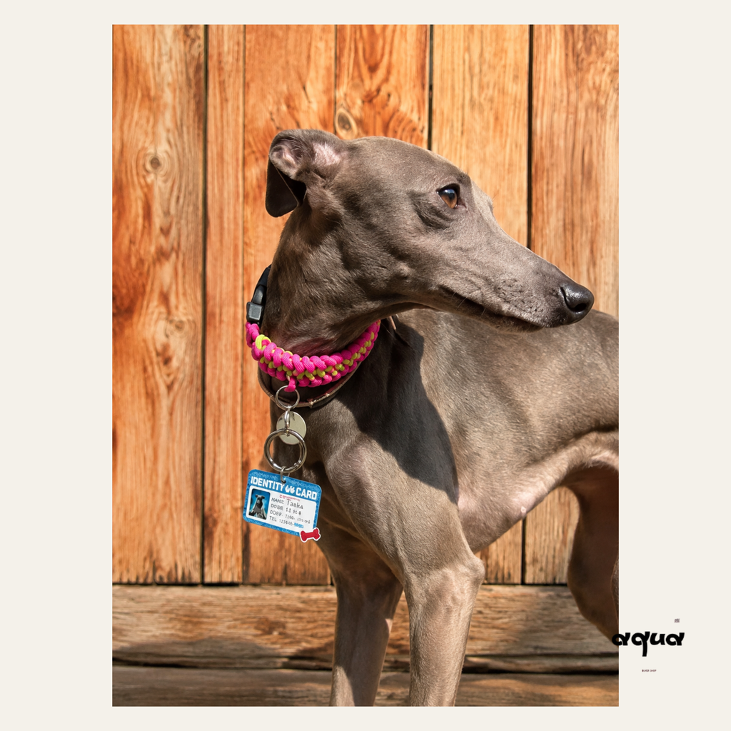 Customized Pet ID Tag with Photo
