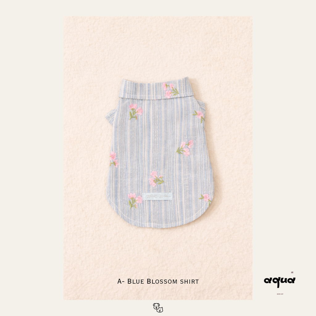 Embroidered Dress Matching Set