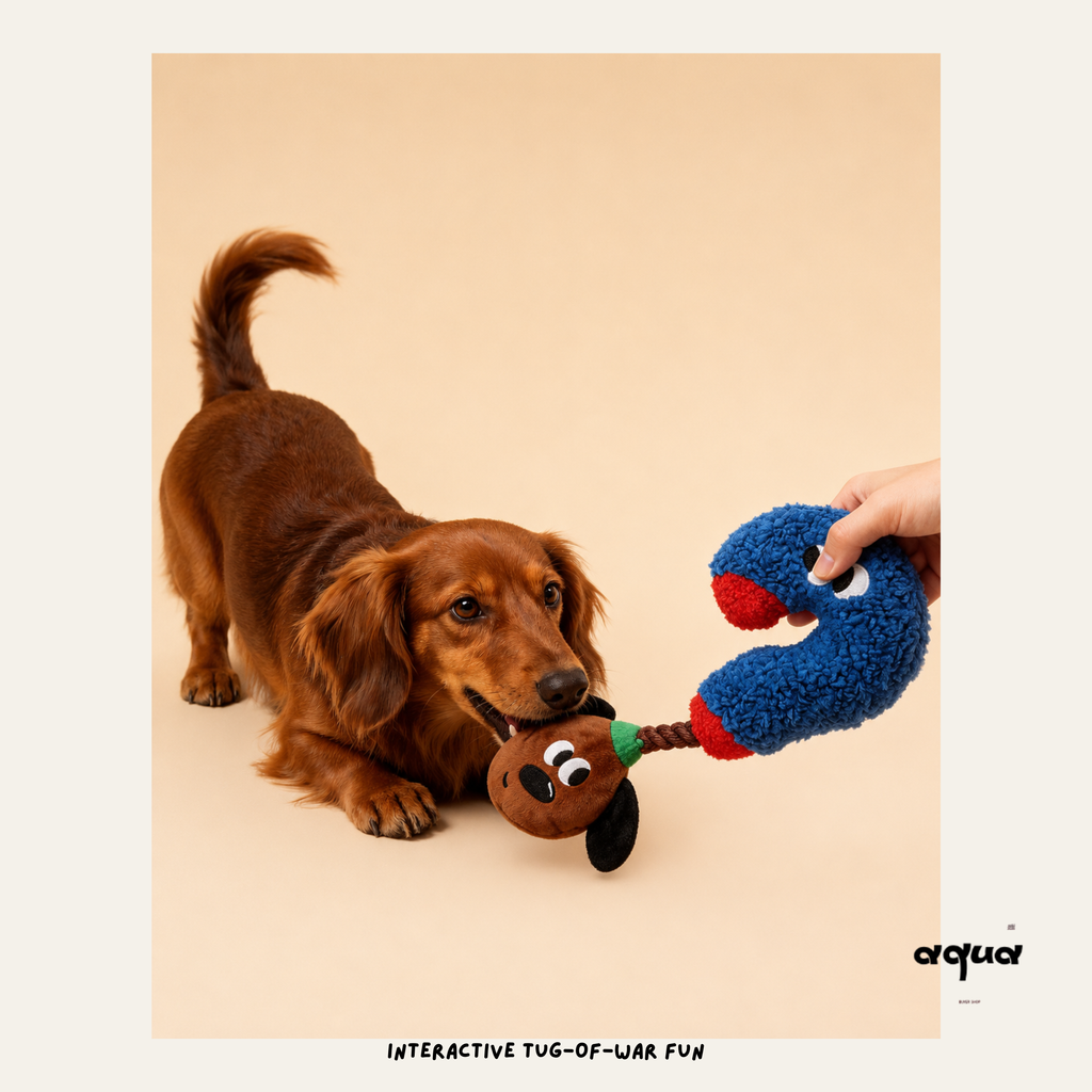 Question Mark Tug Toy