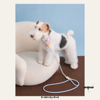 Candy Color Anti-Pull Dog Leash