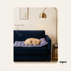 Pet Mat Bed