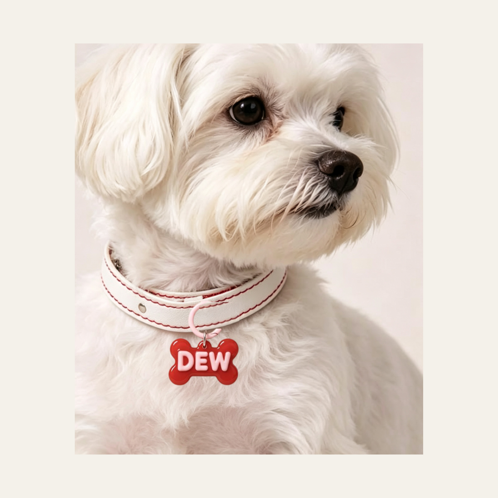 Custom 3D Bubble Pet Name Tag
