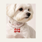 Custom 3D Bubble Pet Name Tag