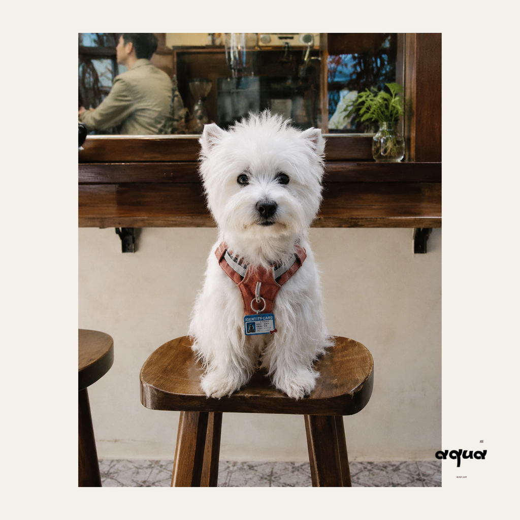 Customized Pet ID Tag with Photo
