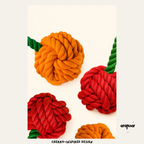 Cherry Shaped Toy