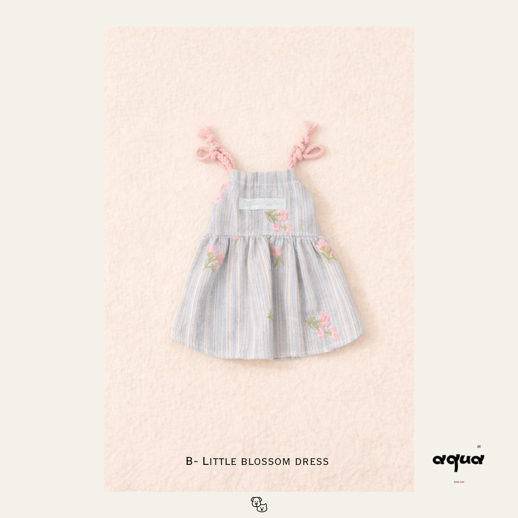 Embroidered Dress Matching Set