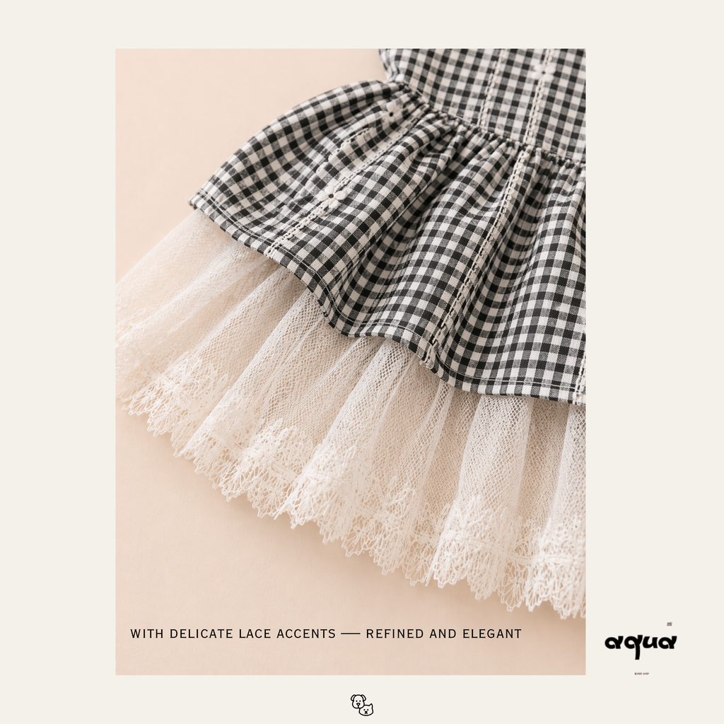 Gingham & Lace Matching Set