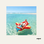 Helicopter Pet Pool Float