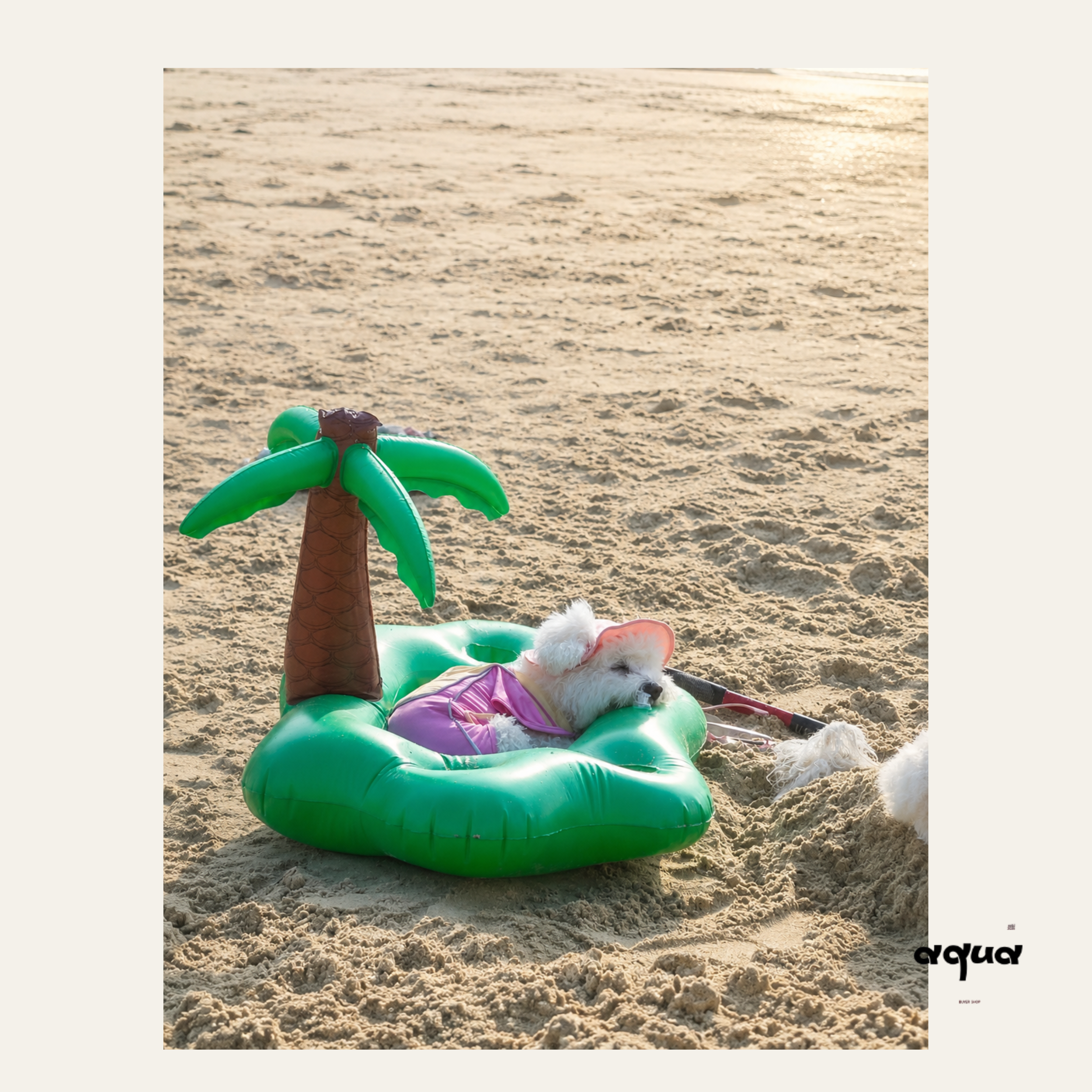 Coconut Tree Pet Pool Float