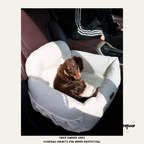 Cozy Car Seat Bed