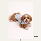 Ruffle Matching Set