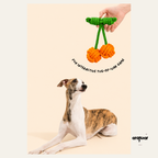 Cherry Shaped Toy