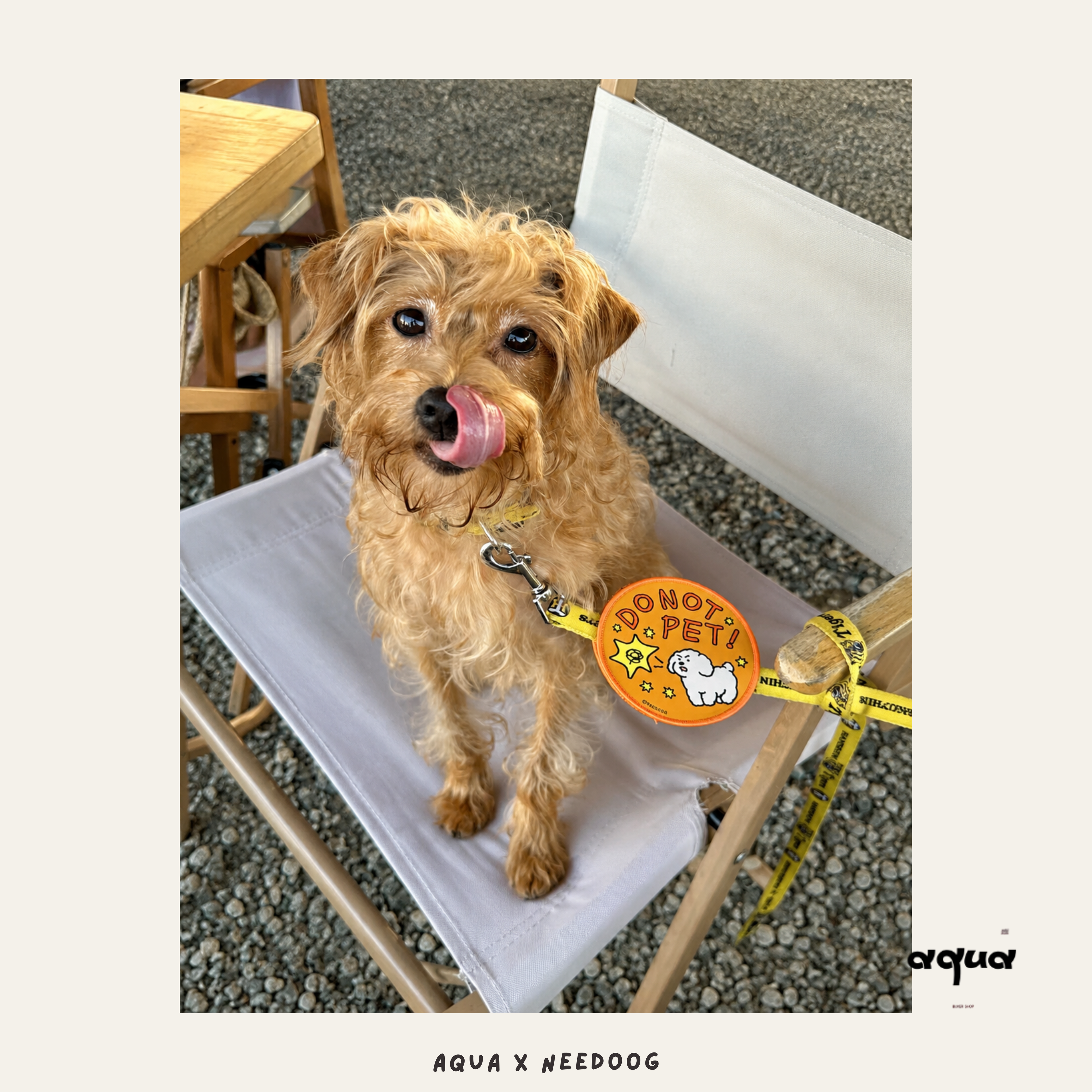 Pet Social Sticker