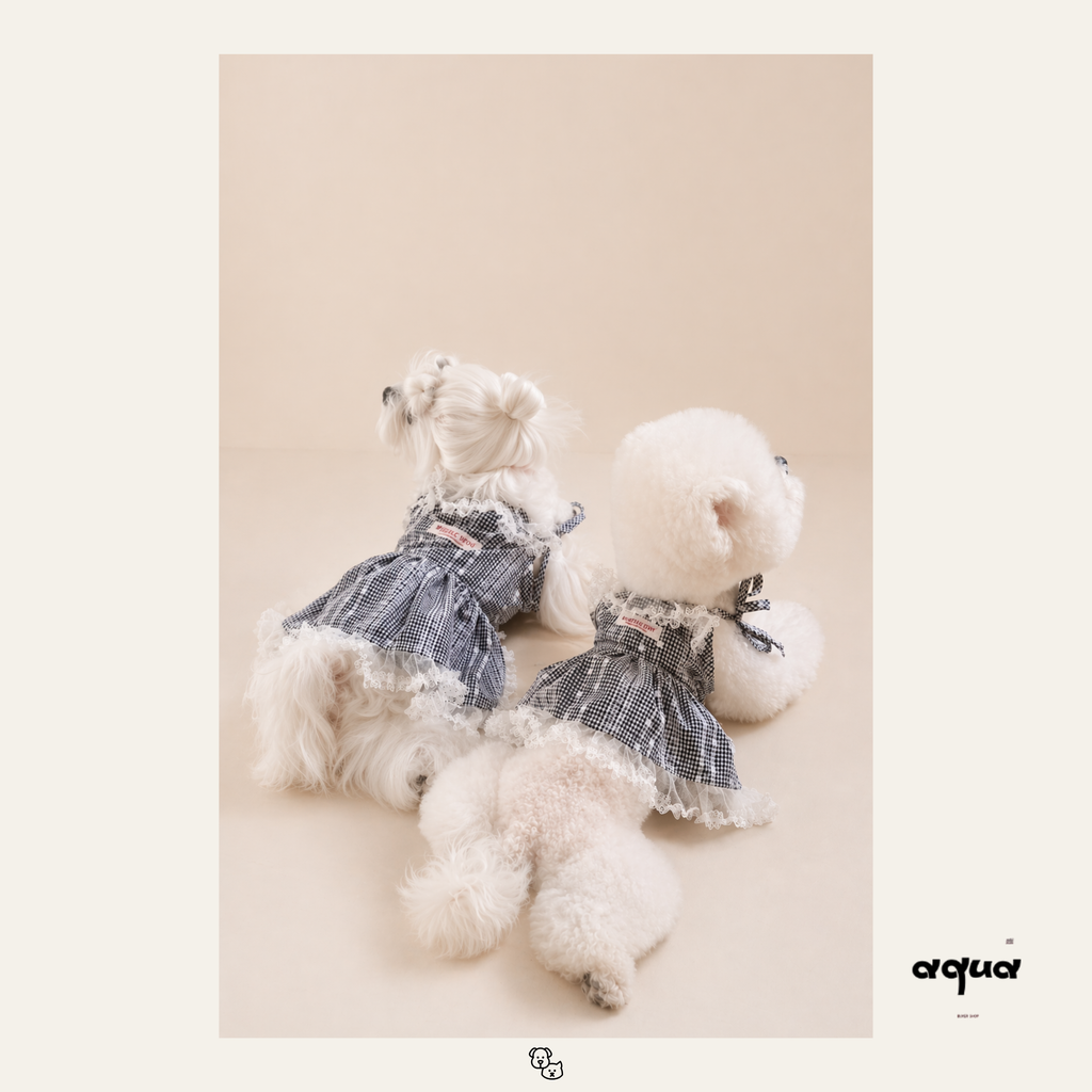 Gingham & Lace Matching Set