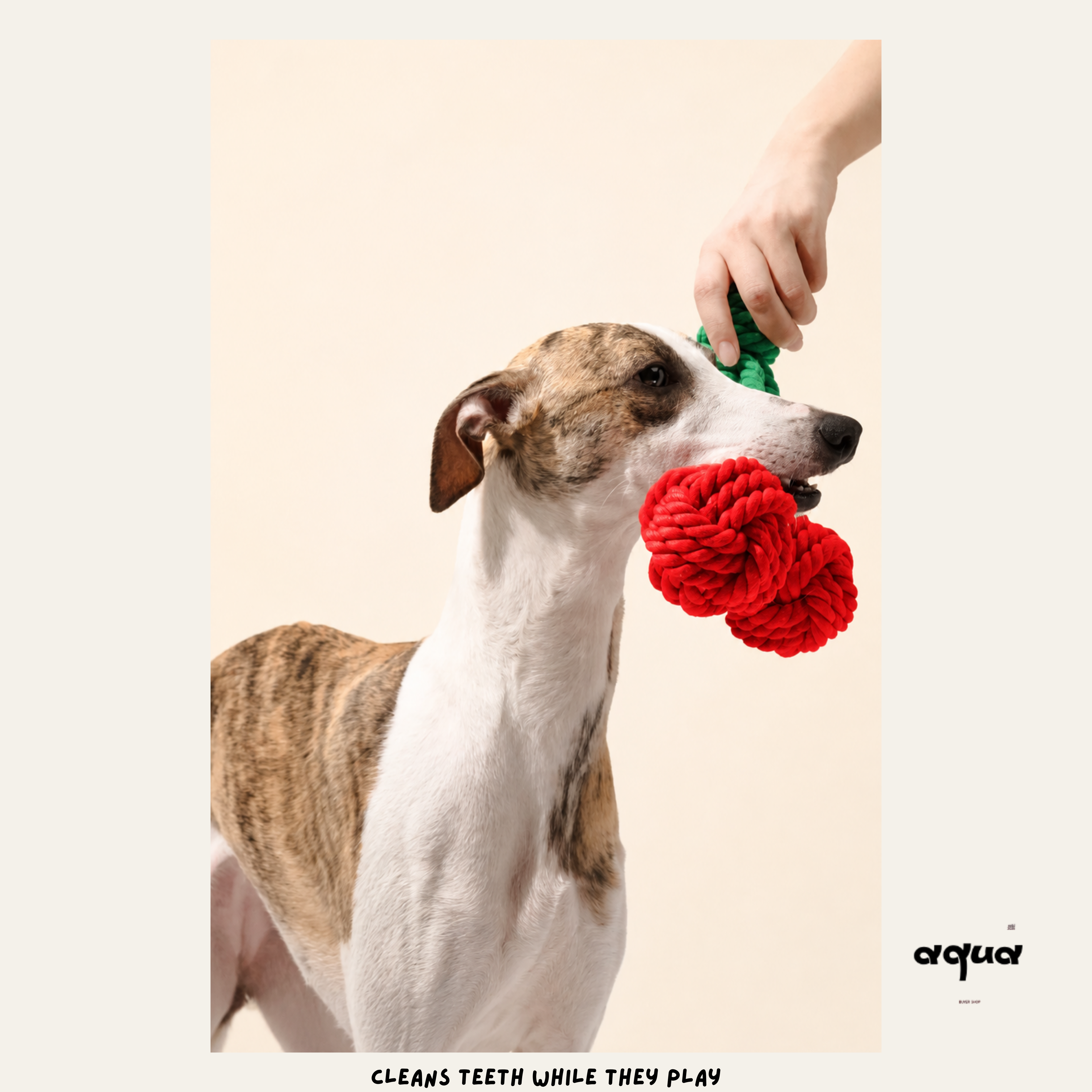 Cherry Shaped Toy