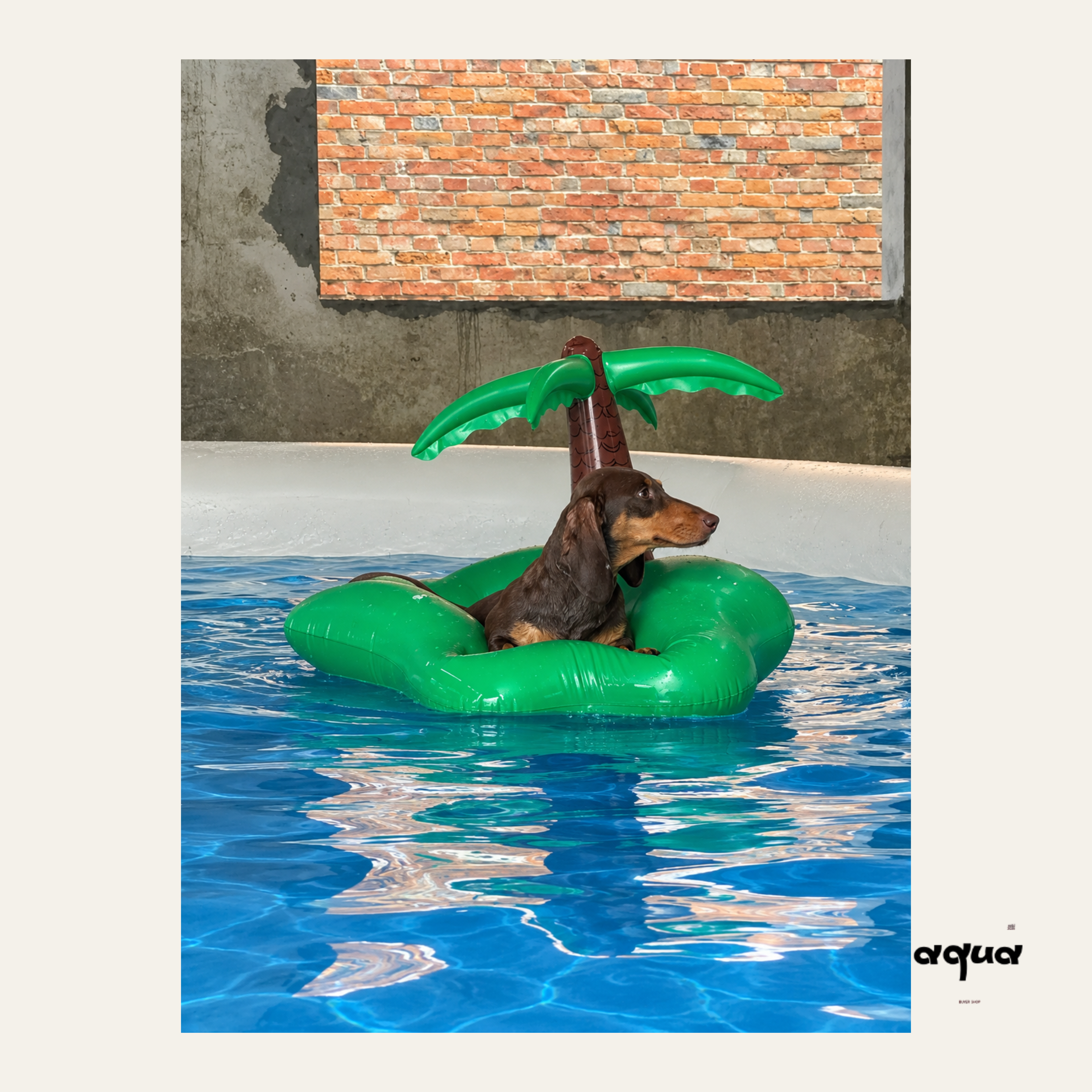 Coconut Tree Pet Pool Float