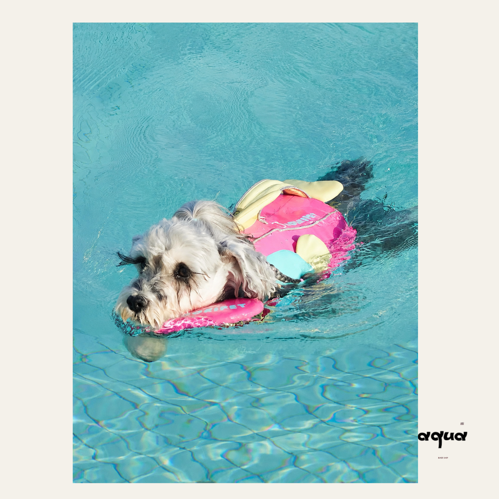 Dog Swimsuit with Chin Float Guard
