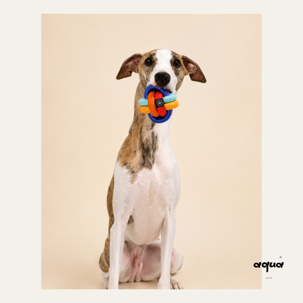 Cross-Woven Dog Chew Ball