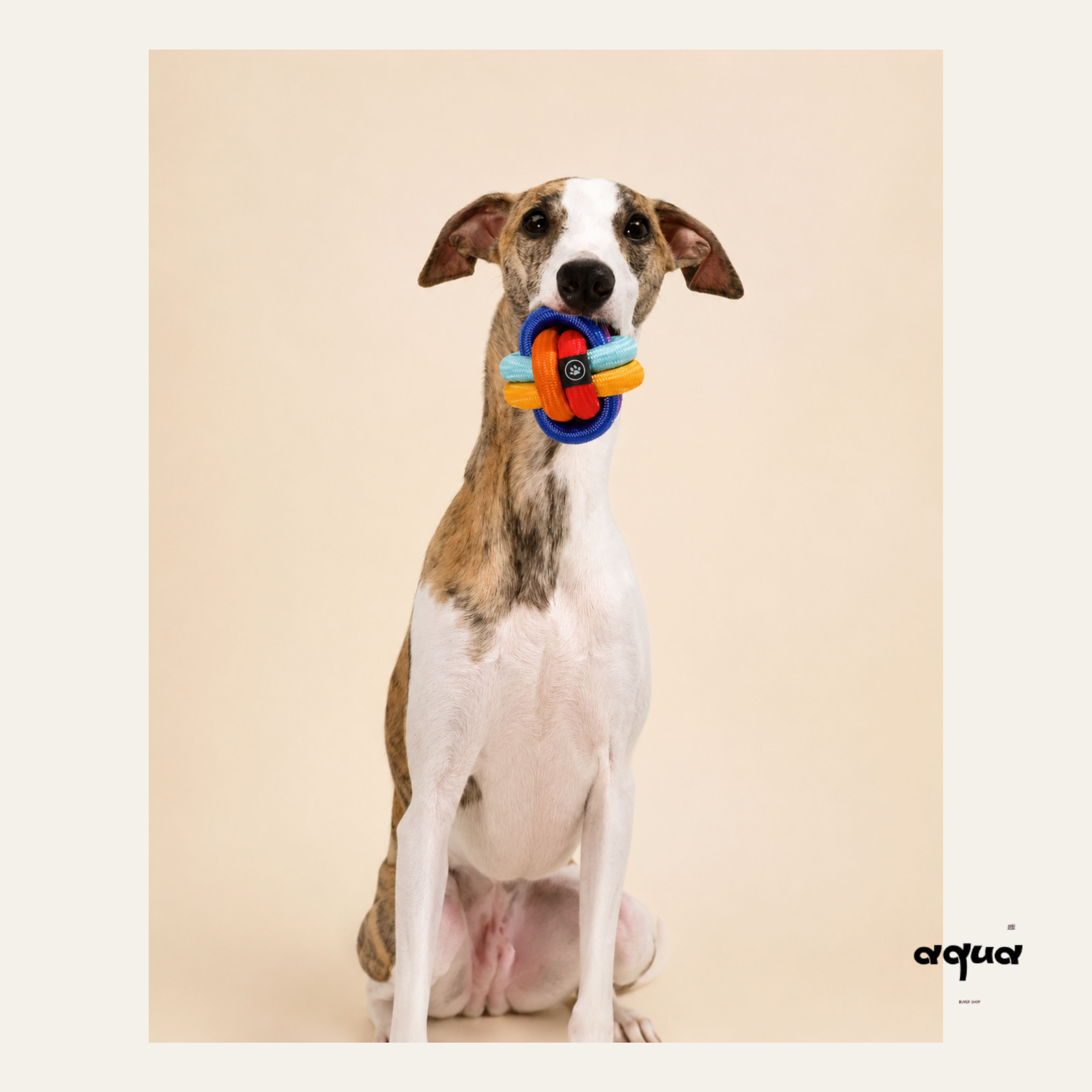 Cross-Woven Dog Chew Ball