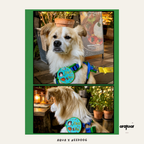 Pet Social Sticker
