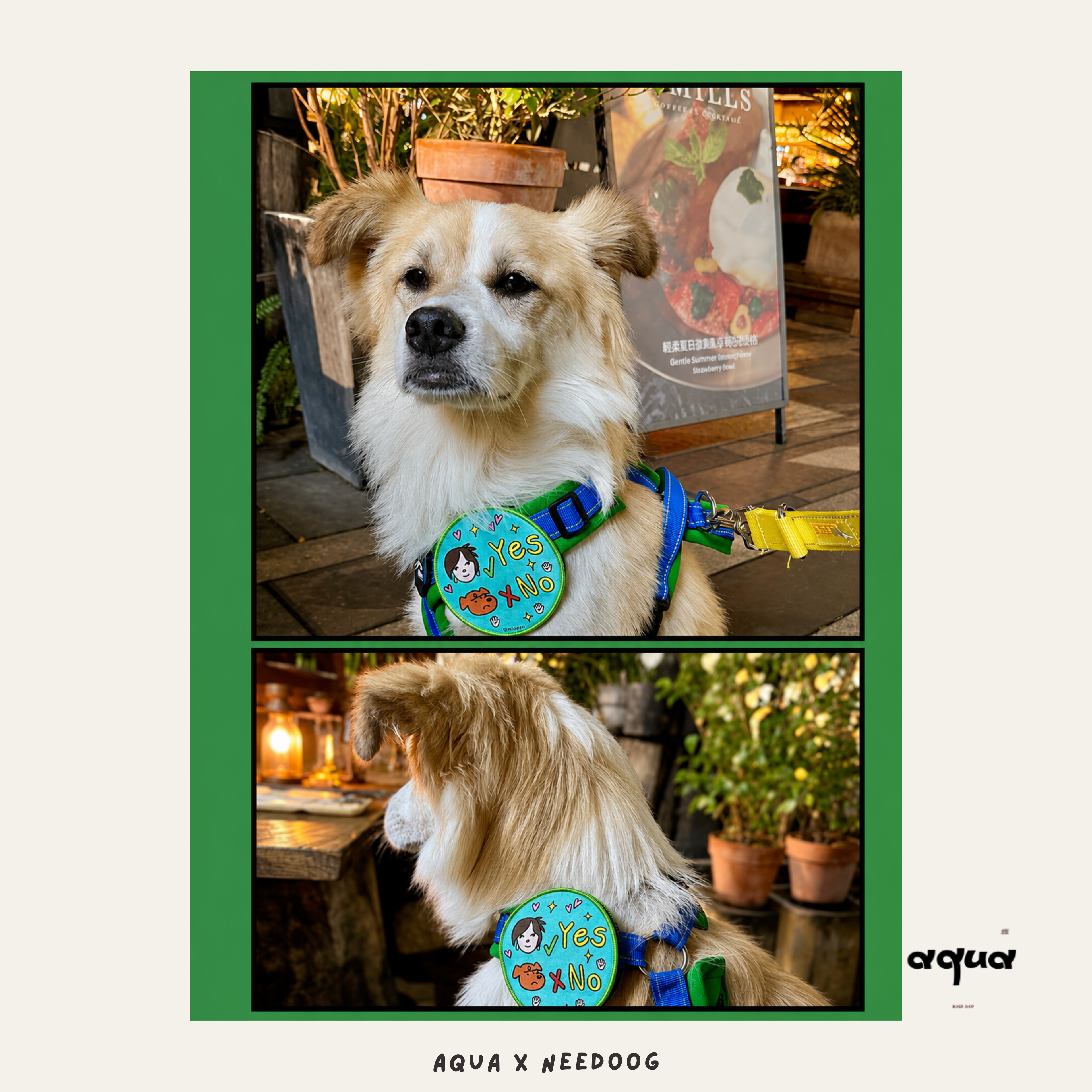 Pet Social Sticker
