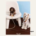 Candy Color Anti-Pull Dog Leash