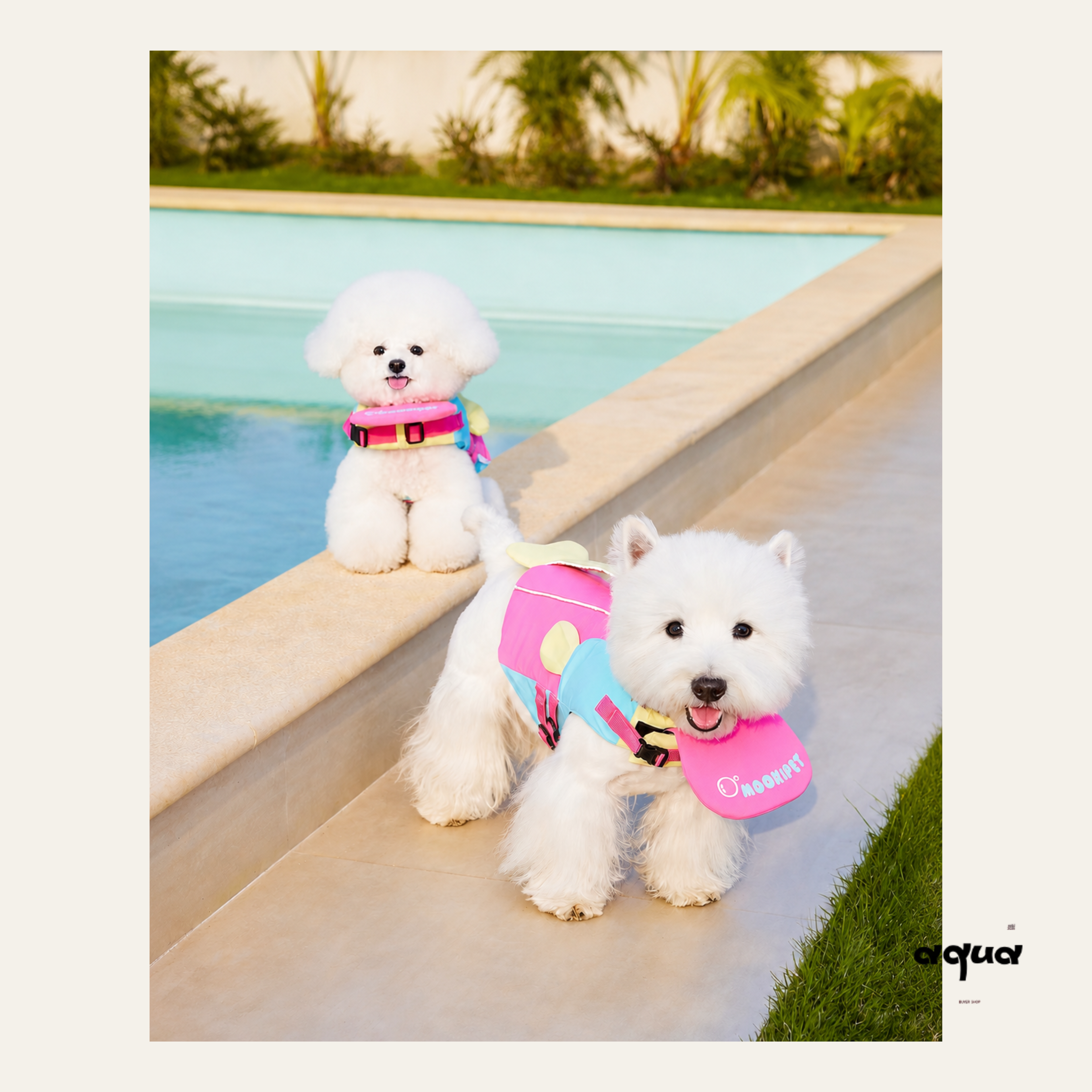 Dog Swimsuit with Chin Float Guard