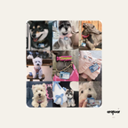Customized Pet ID Tag with Photo